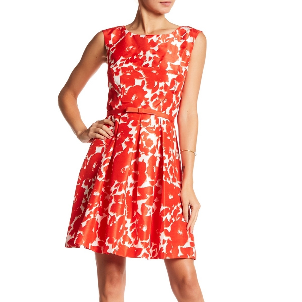 NWT Danny and Nicole Belted floral Pleated Dress